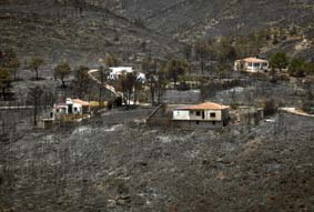 Paisatge desolat pels incendis d'aquest estiu.